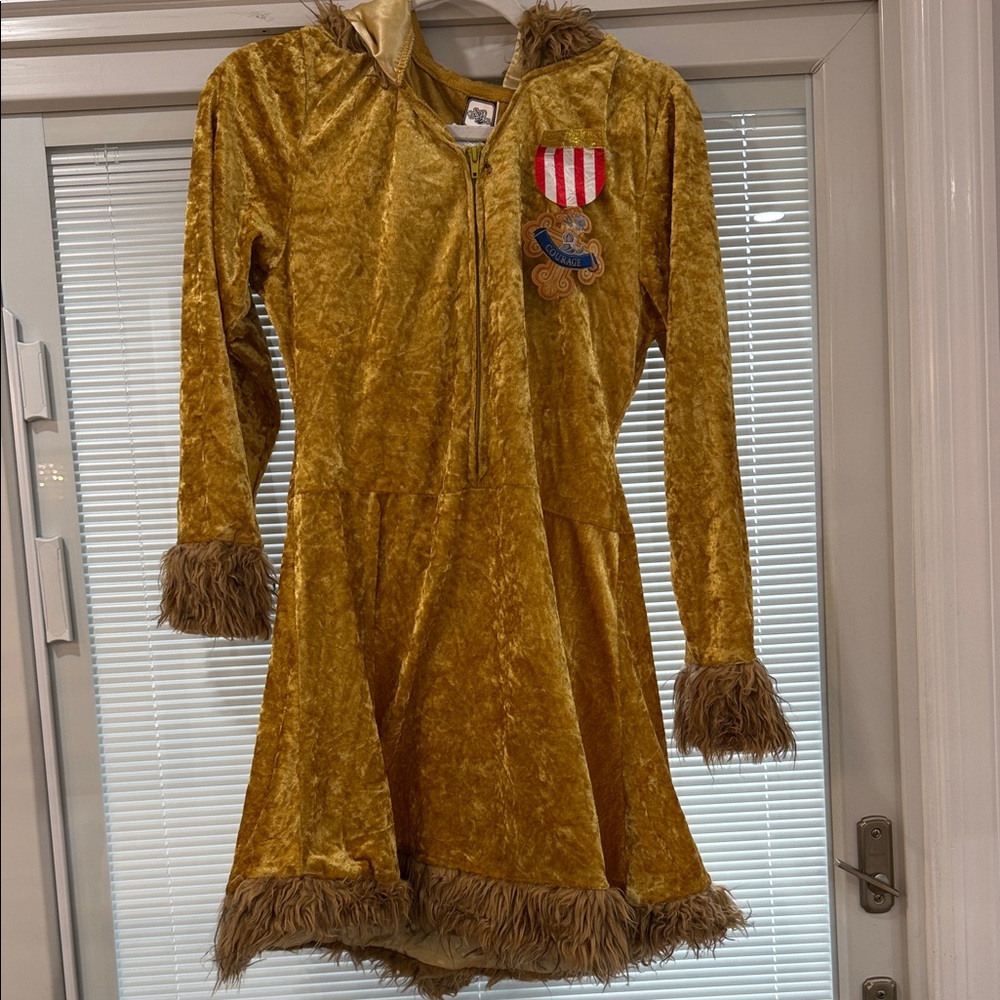 Party City Gold Lion Costume for Kids